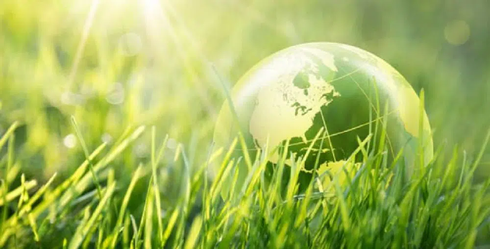 savoir sur les métiers de l’environnement